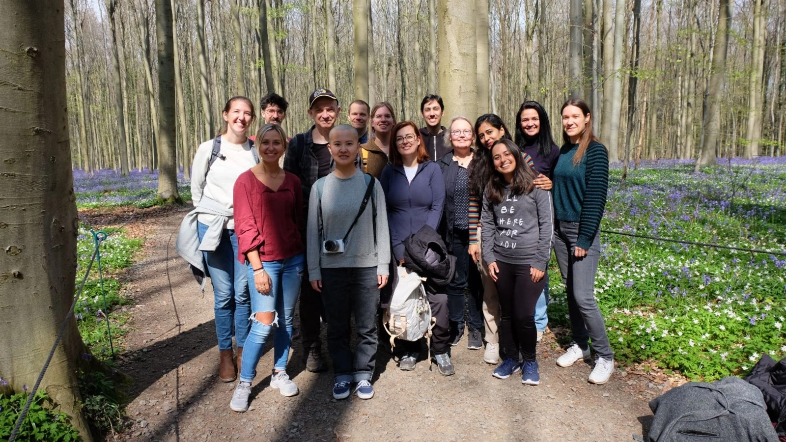Group Walk: Hallerbos!