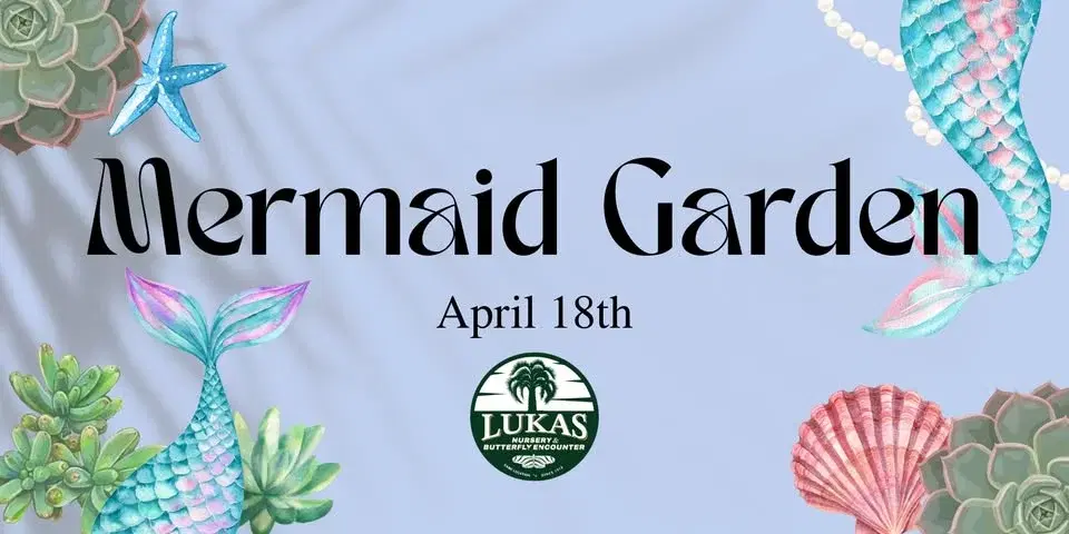 Mermaid Garden Workshop at Lukas Nursery