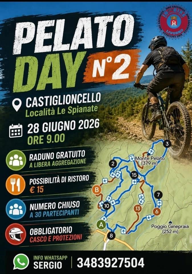 Pelato Day N 2