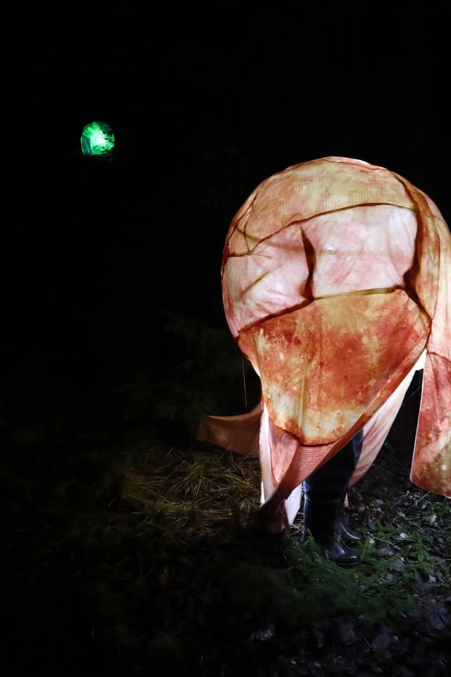 Jenny Käll - Lanternorna är vilsna