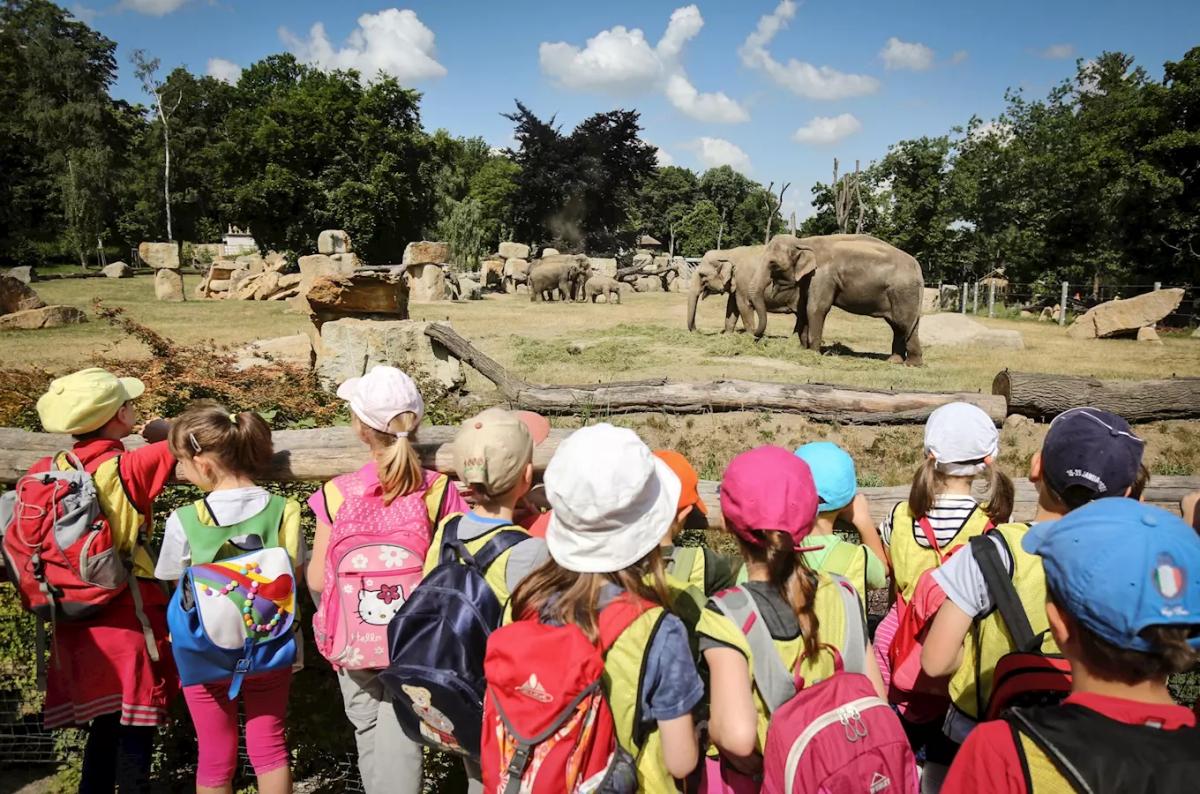Den dětí v Zoo Praha s Městskou policií 2026