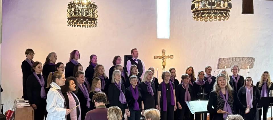 Vårkonsert -WHY WE SING-