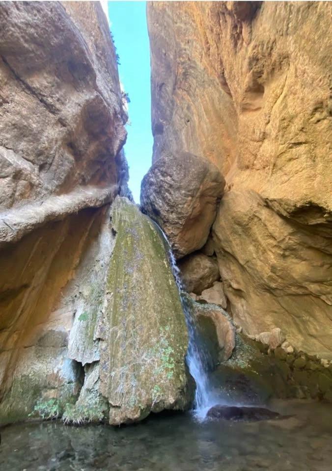 CAMINATA DE ODEN A SALT DEL FORAT COLOMER