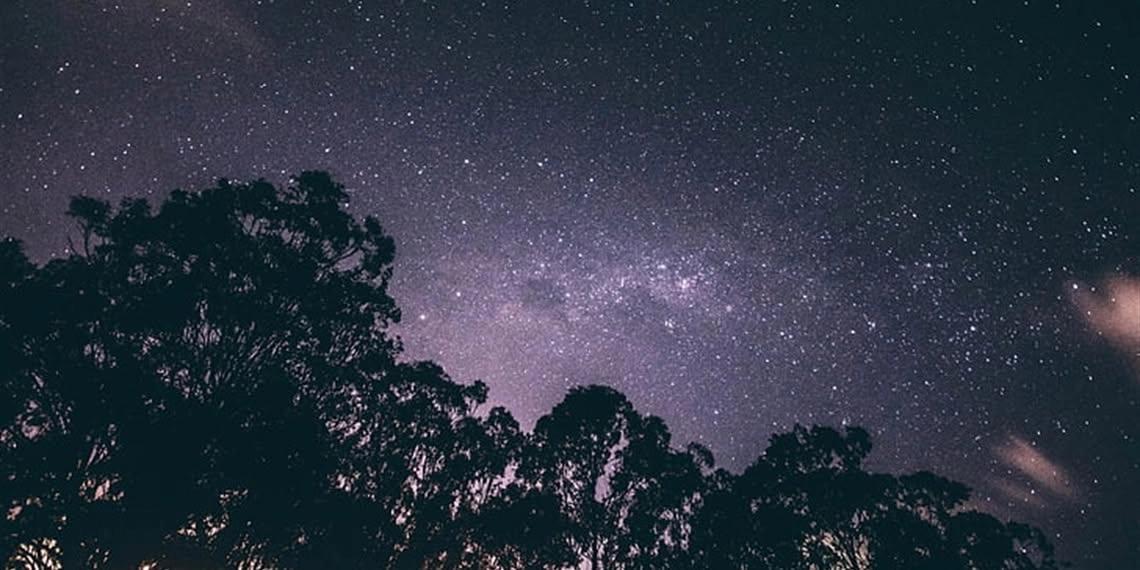 Dark Skies - Stargazing evening