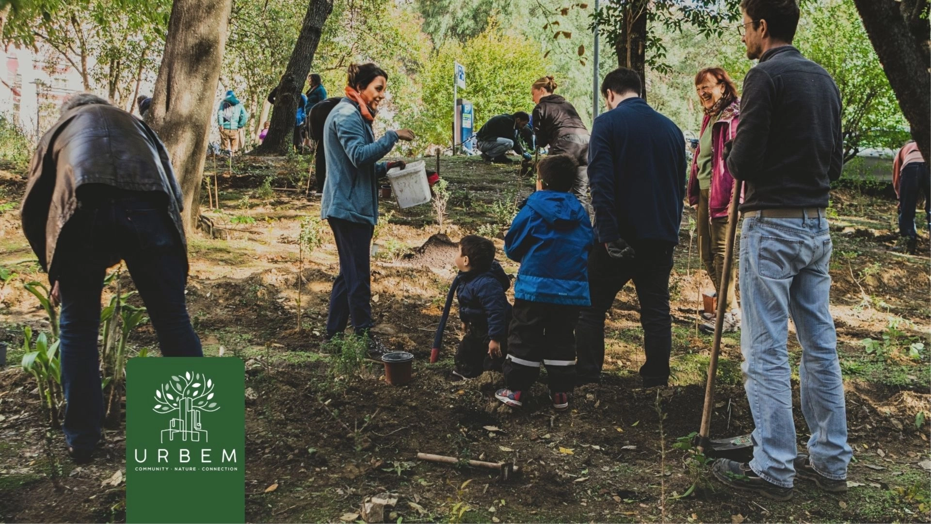 Areeiro: Fortnightly FastForest® Meetup