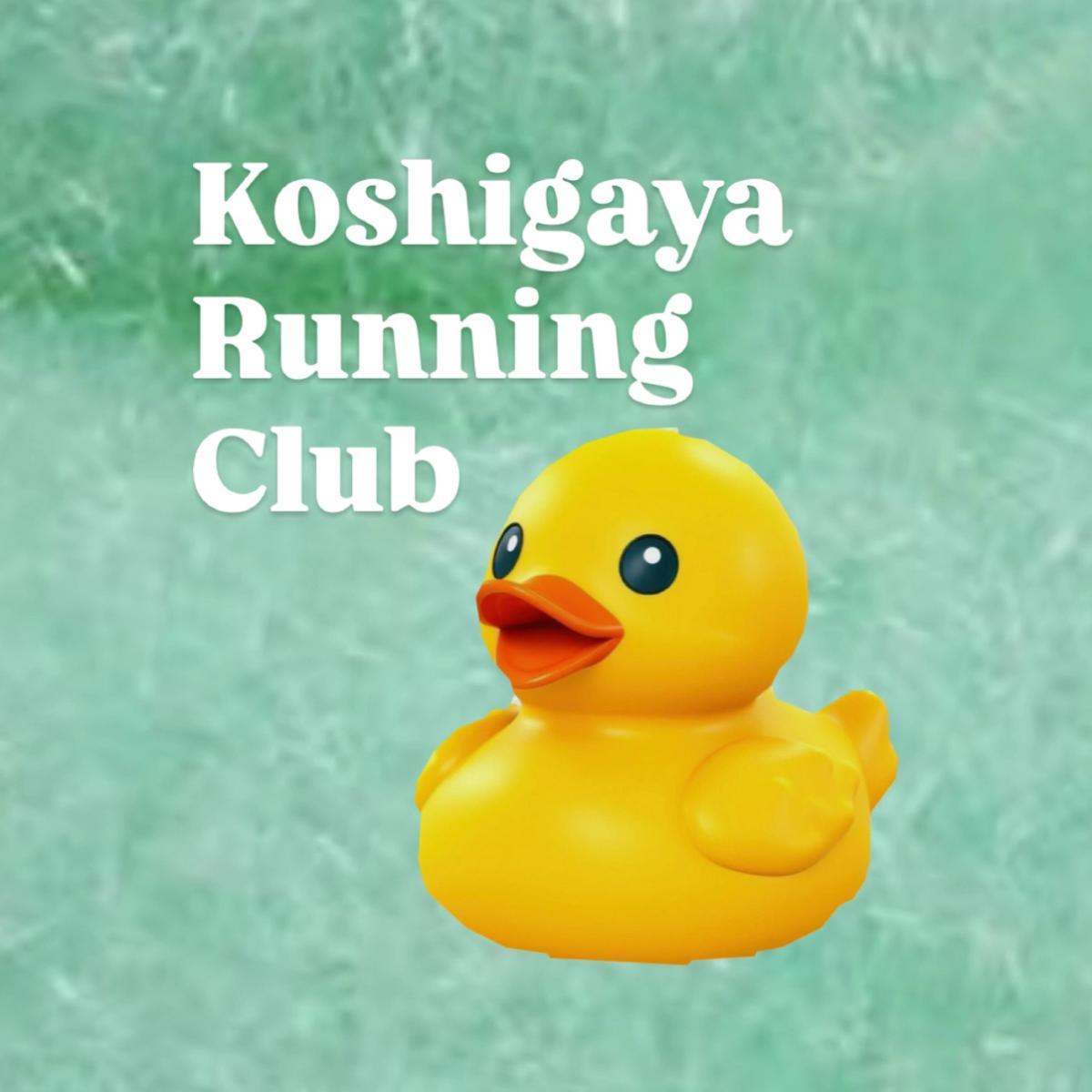 アンケート11/3 越谷レイクタウンランニング