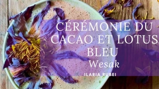 Cérémonie du Cacao et Lotus bleu. Être libre, en vérité.