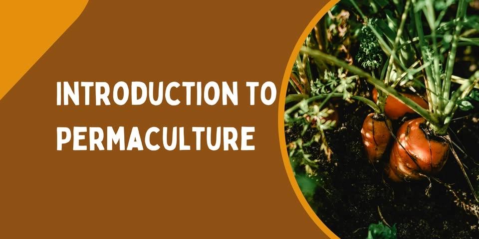 Introduction to Permaculture