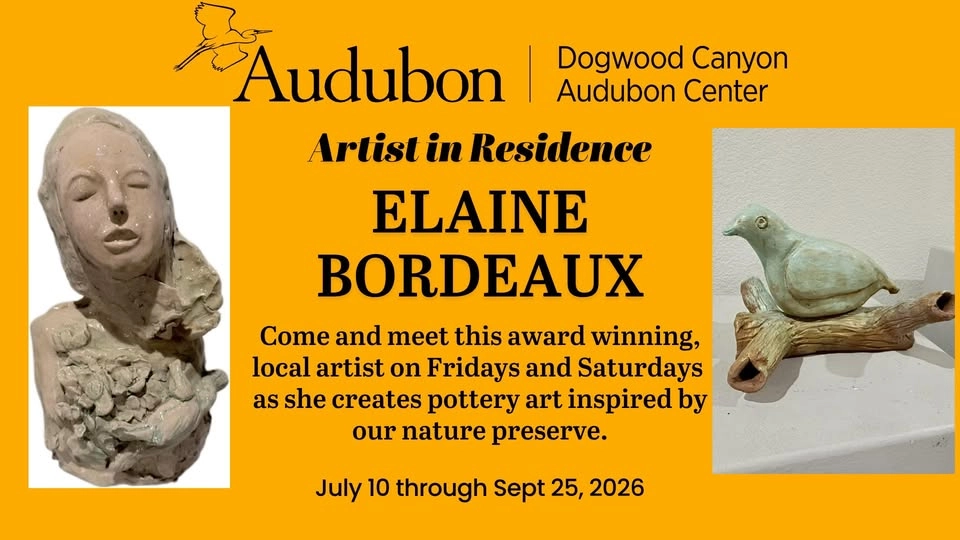 Artist in Residence