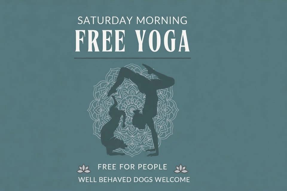 Free Yoga in the Park at Off Leash Social (Every Saturday)
