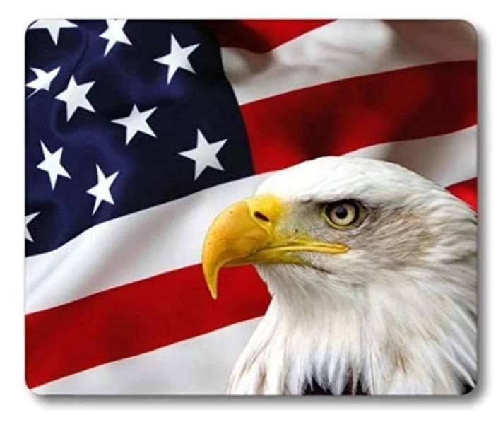 6th Annual Freedom Festival