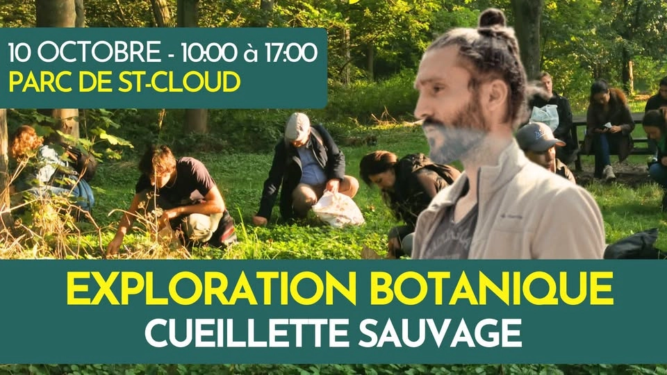 EXPLORATION BOTANIQUE ITINÉRANTE ET CUEILLETTE SAUVAGE