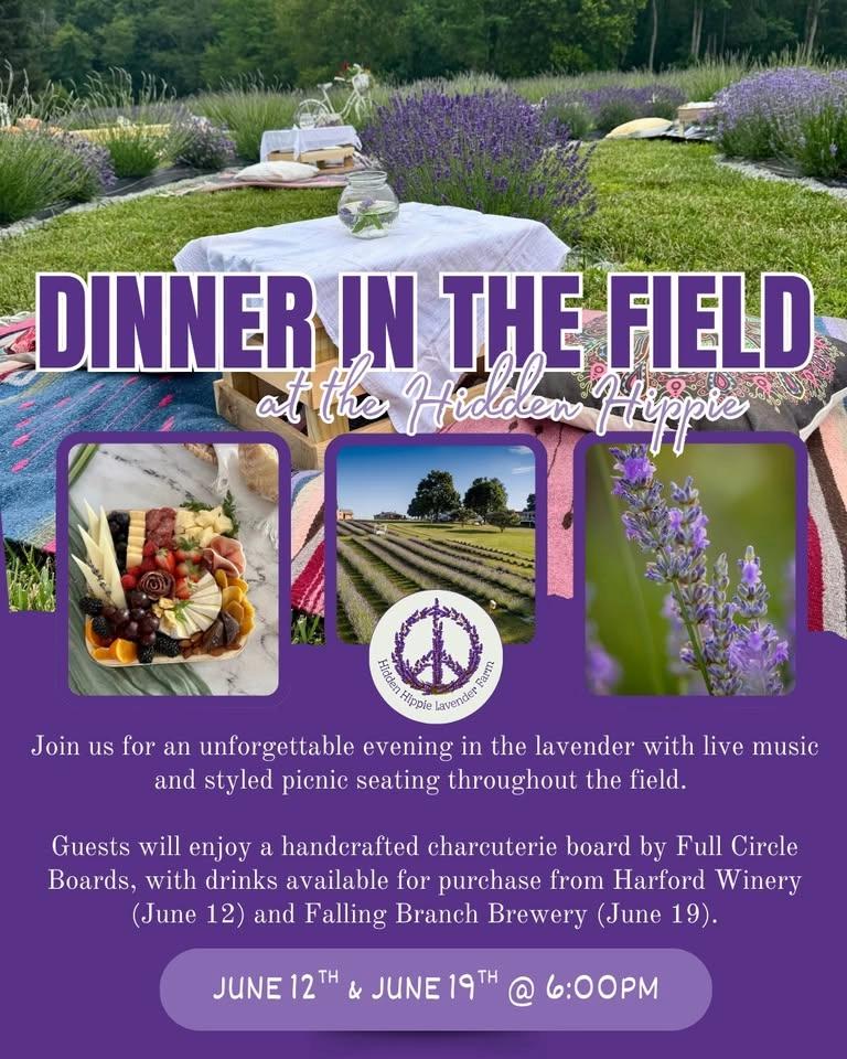 Dinner in the Field #1