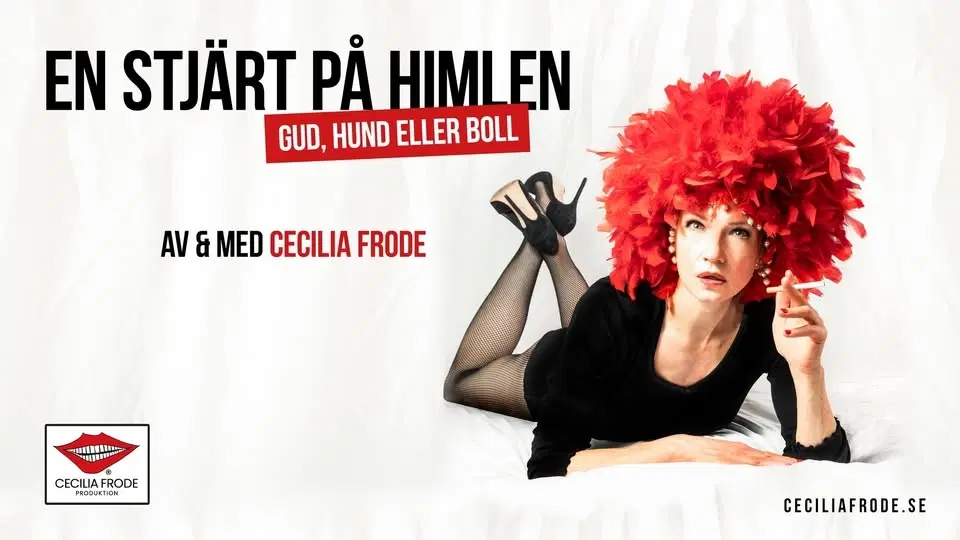 En stjärt på himlen – Gud, hund eller boll
