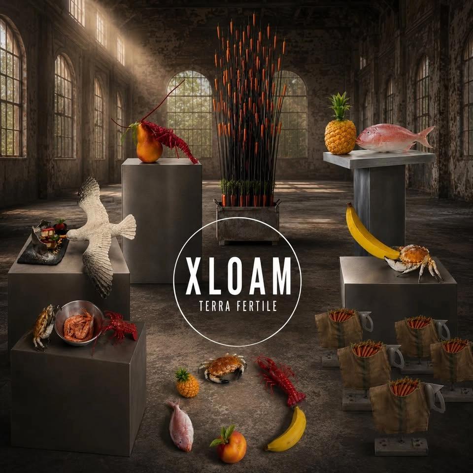 XLOAM Terra Fertile