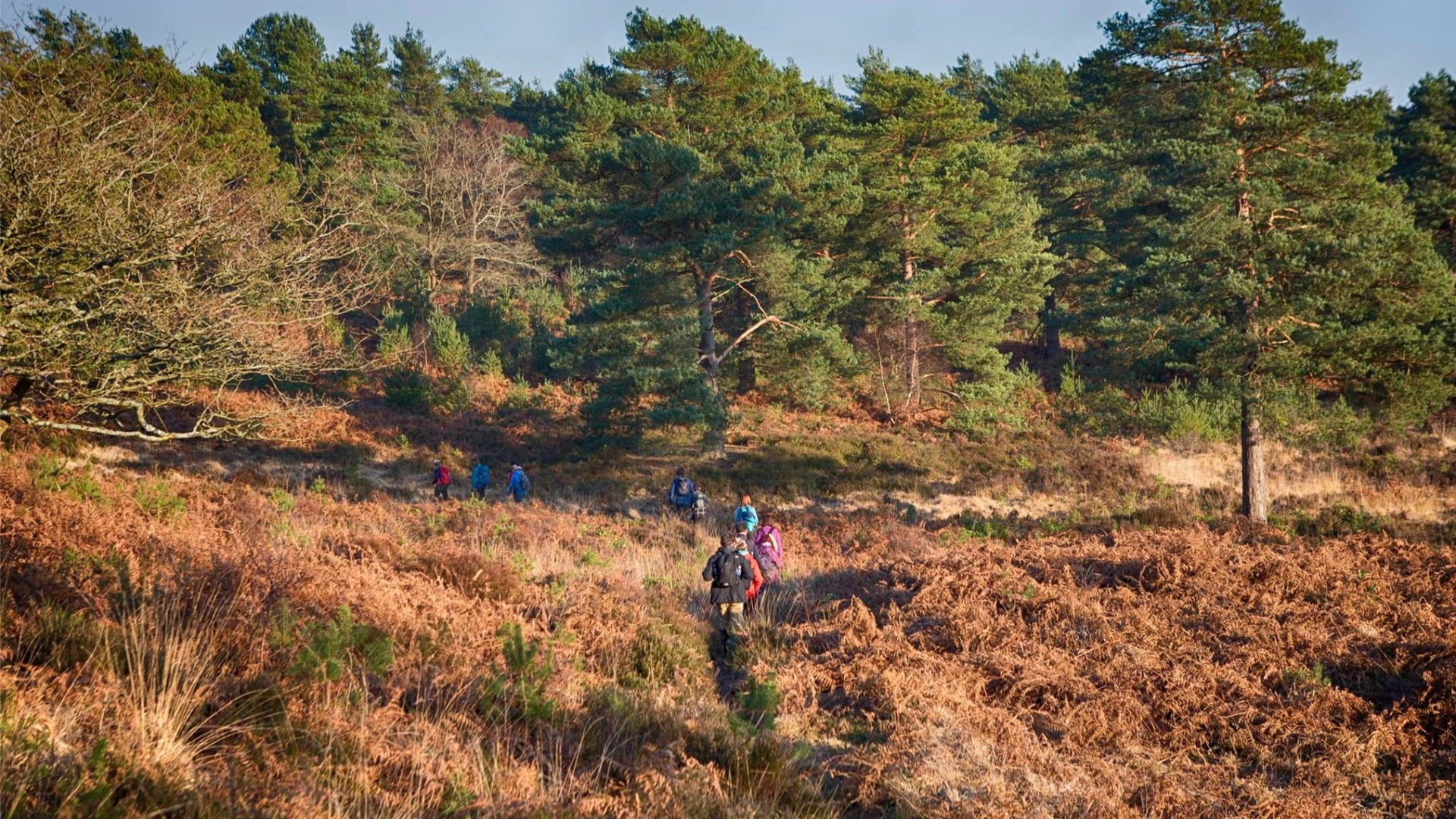 Petersfield to Liphook - Hampshire's delights