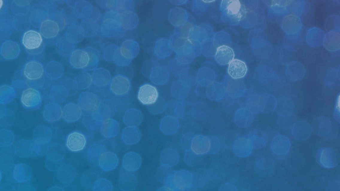 Banksy Museum NY - Monday Movie Day and Nights!