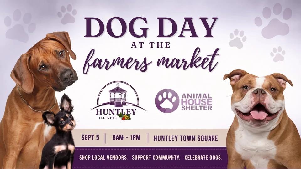 Dog Day at the Huntley Farmers Market!