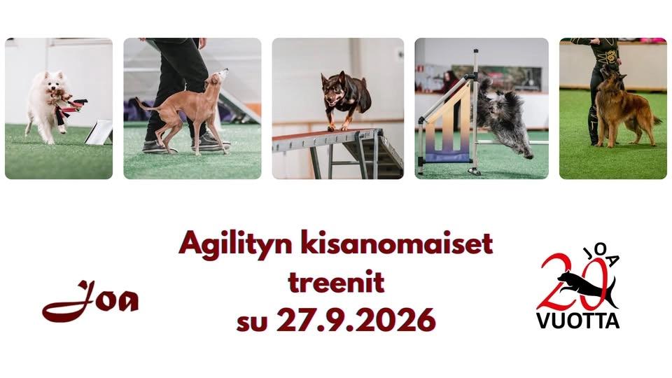Agilityn kisanomaiset treenit