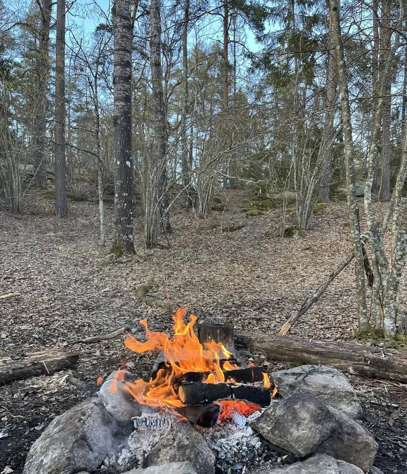 Trumcirkel vid Lejonportalen