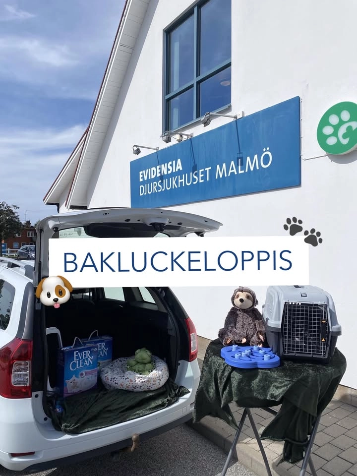 Bakluckeloppis för djurartiklar!