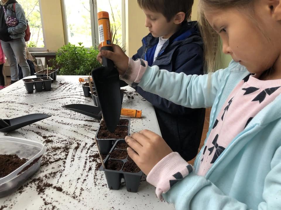 Summer Break: Upper Elementary (3rd-5th Grade)