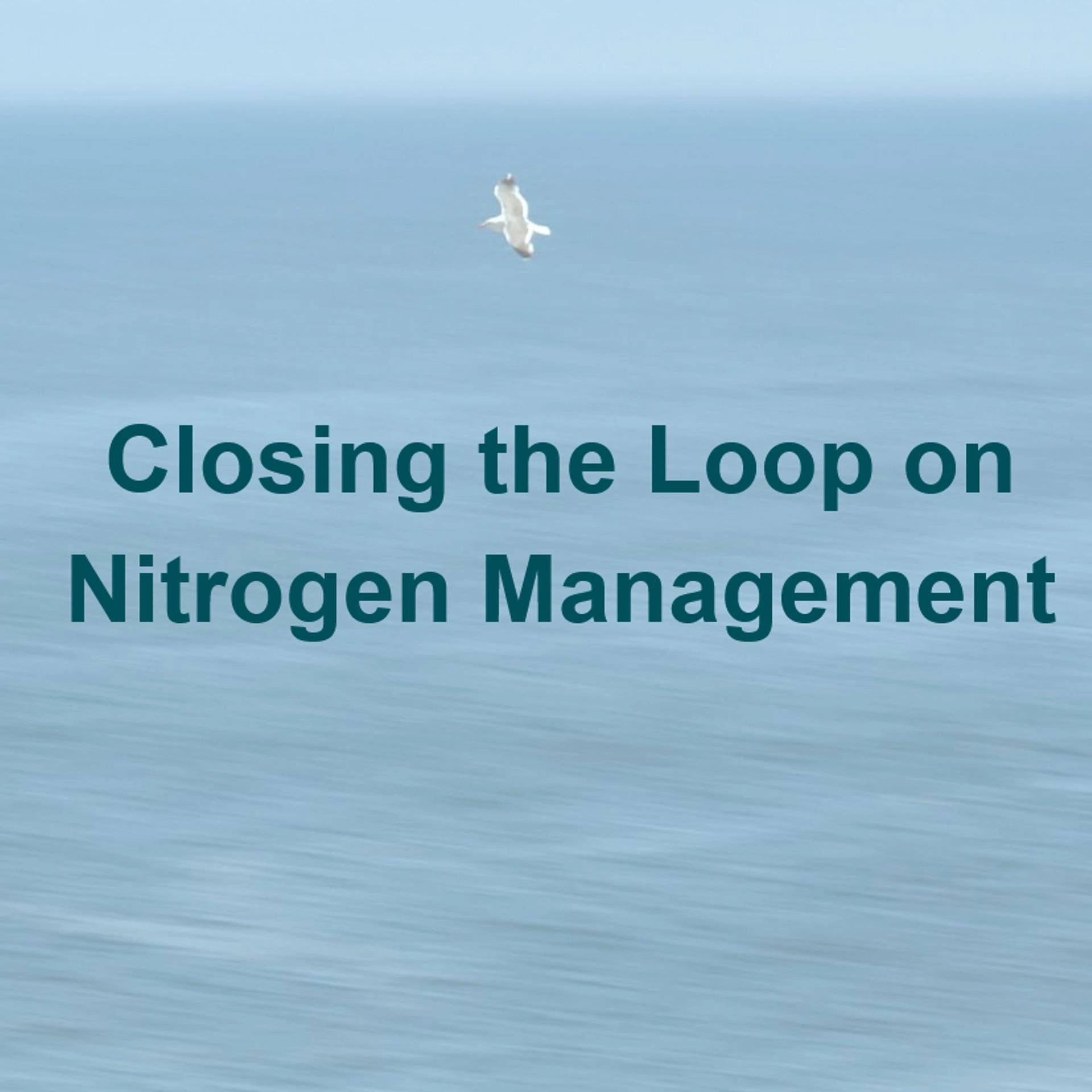 Closing the loop on nitrogen management - year 1 review