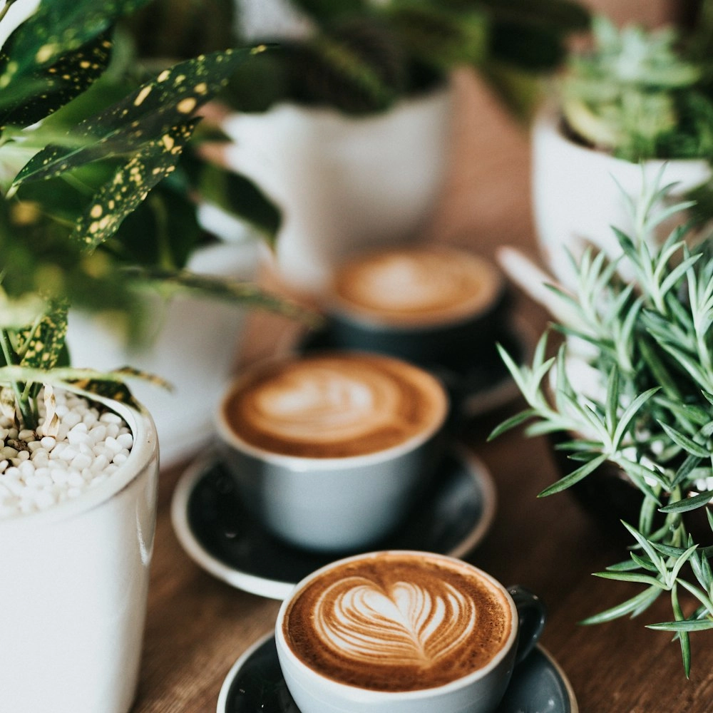 Blind Coffee Date - Ladies in their Late 20s/Early 30s