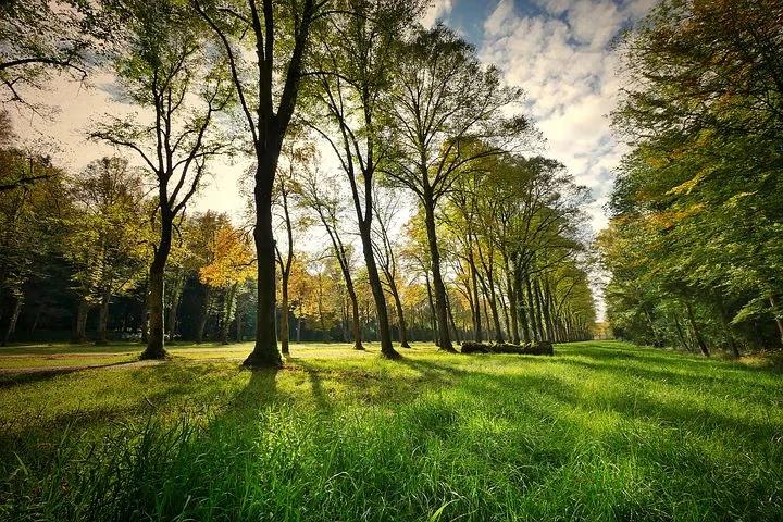 Passeggiata al Parco Formentano - Walk in Formentano Park