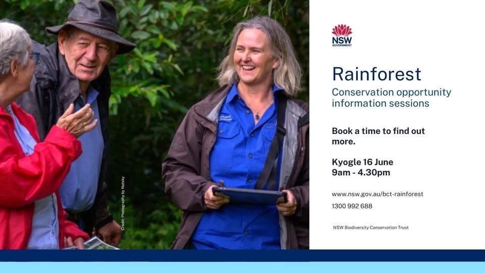 Kyogle - Rainforest conservation offer information sessions
