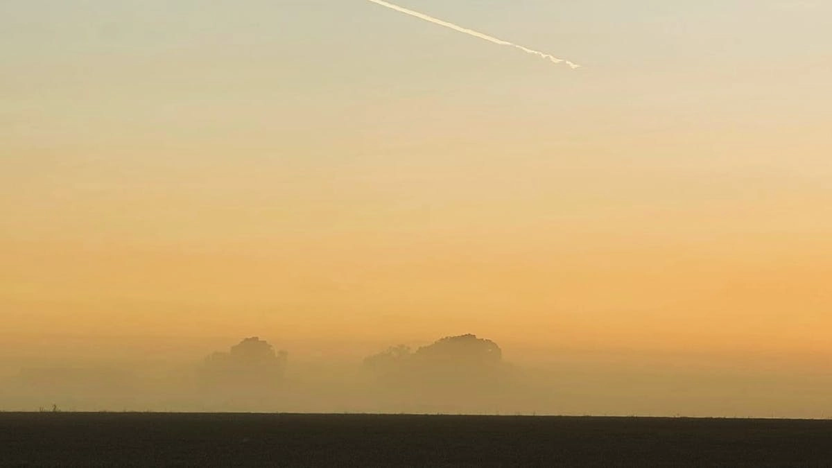 Att ha barn tillsammans med en narcissist - webinar 20/4