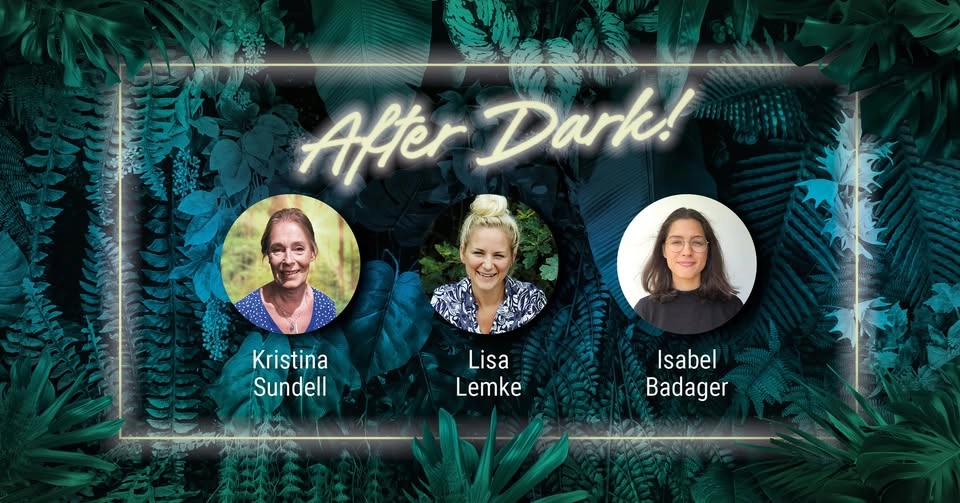 Universeum After Dark: Salta sanningar