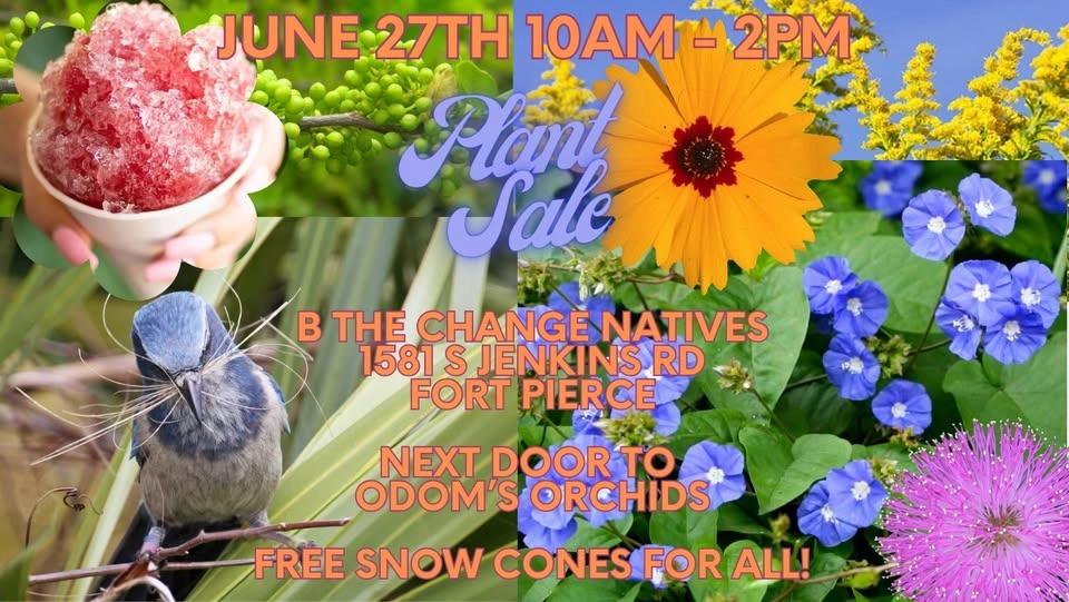 Native Plant & Snow Cone Summer Sale