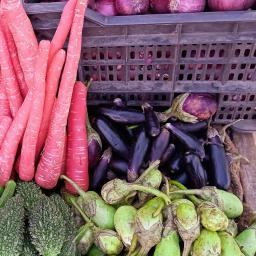 Visite d'une coopérative d'achat : bio, local, sans intermédiaire ! Fraîcheur garantie