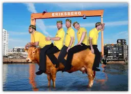 Kafé Dalheimer - Vier Brillen