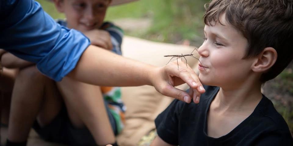 Bug Adventures - School Holidays
