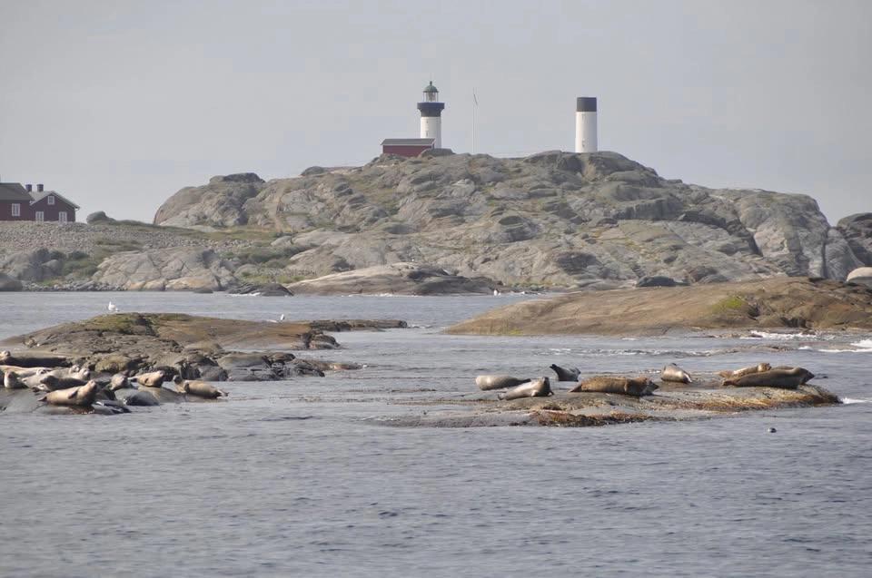 Fyrens dag Ursholmens fyrplats, Kosterhavet