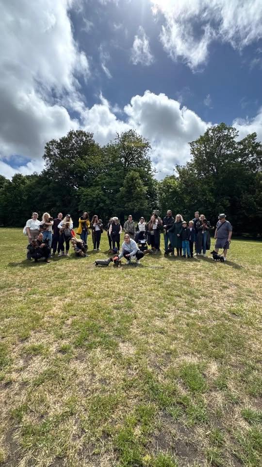 Greenwich Dachshunds July Meet Up☀️