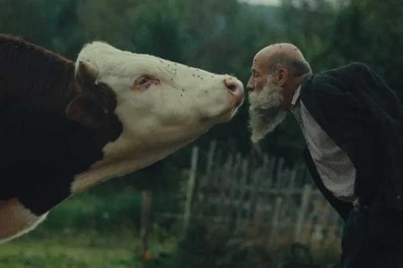 Better Go Mad in the Wild