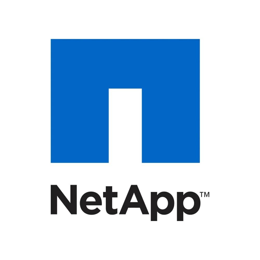 NetApp CEO x IEEE