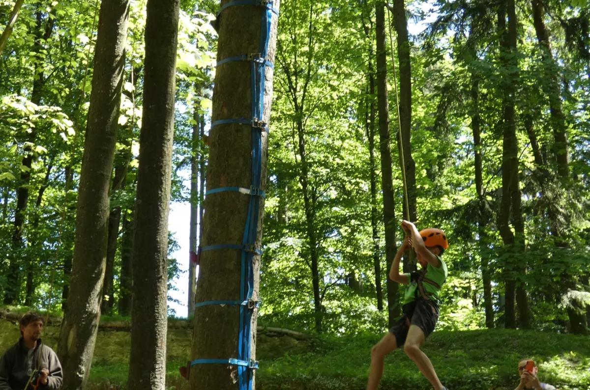 Den stromů a Den s Lesy ČR na hradě Lukov 2026