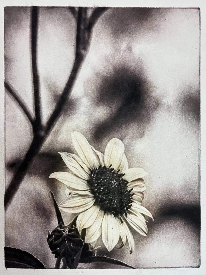 Beyond the Straight Photopolymer Print