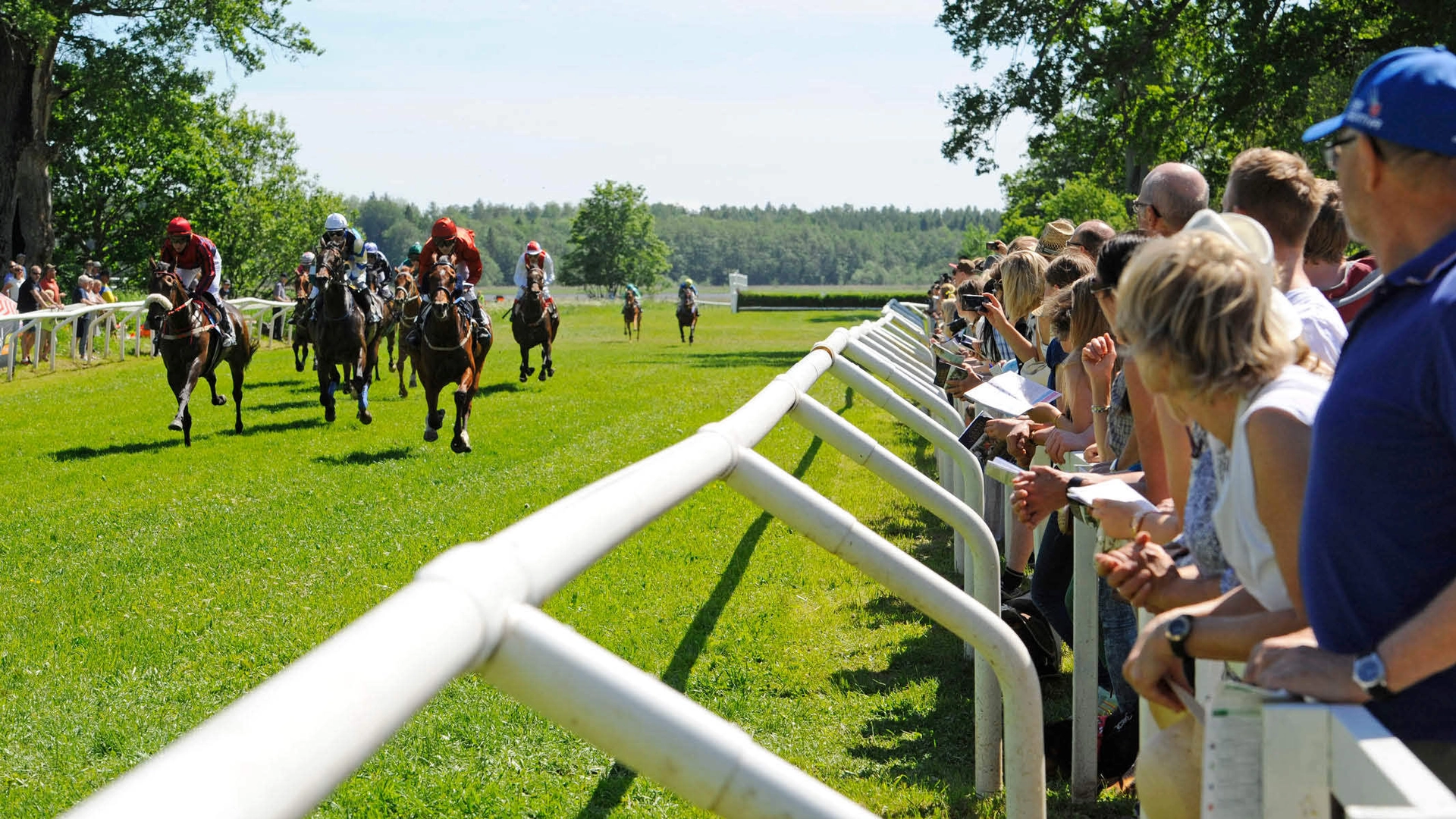 Svenskt Grand National
