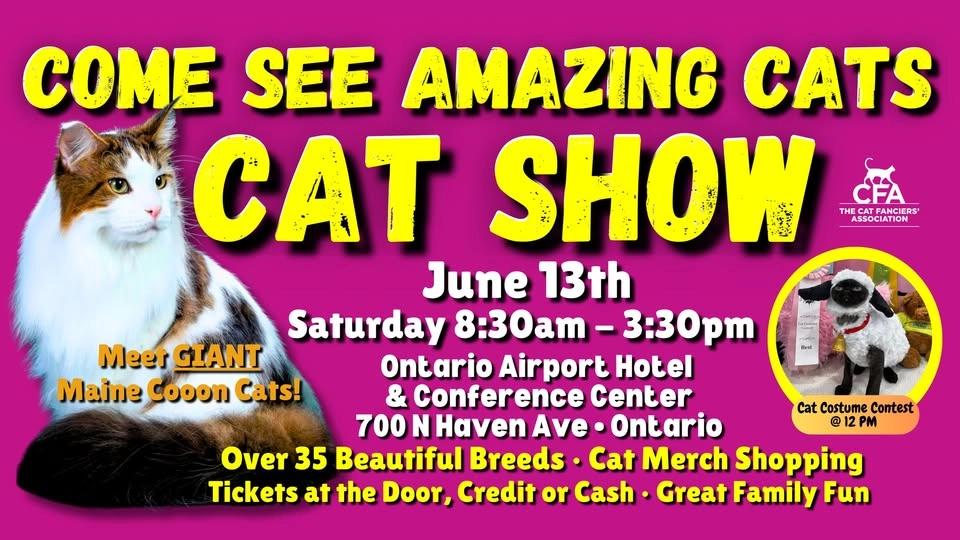 Come See Amazing Cats 😻🎉❤️ at the PURR-FECT ONTARIO Cat Show & Cat Costume Contest June 13th!
