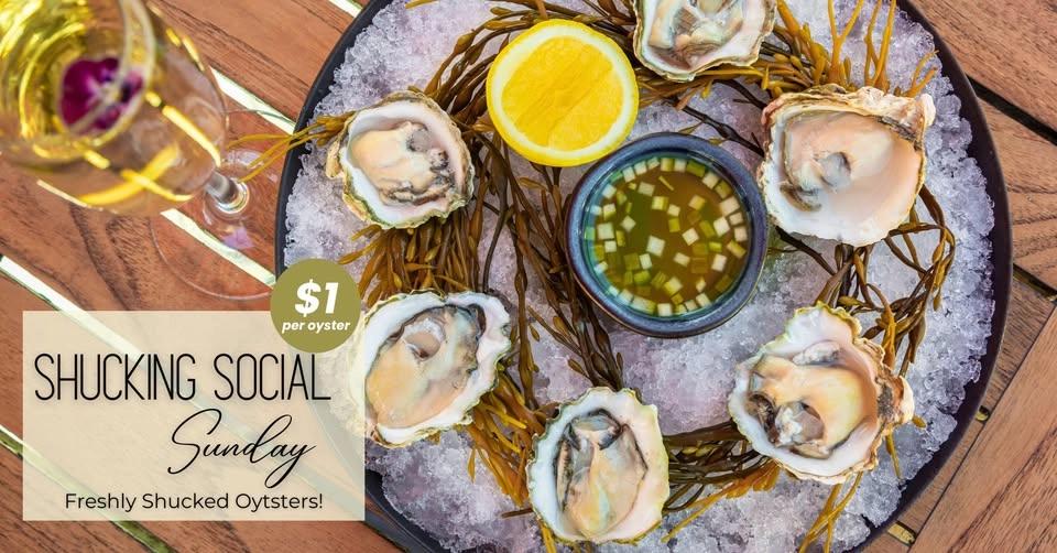 🦪SHUCKING SOCIAL SUNDAYS 🍷
