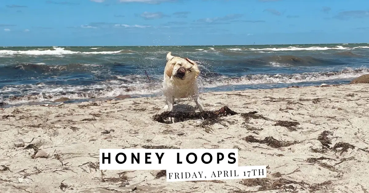 Honey Loops