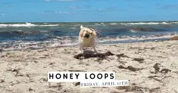 Honey Loops