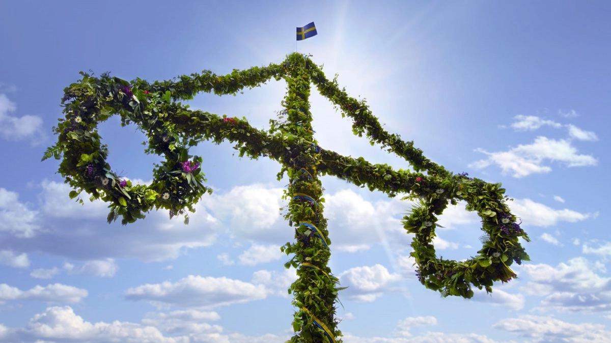 Operation Midsommar picnic