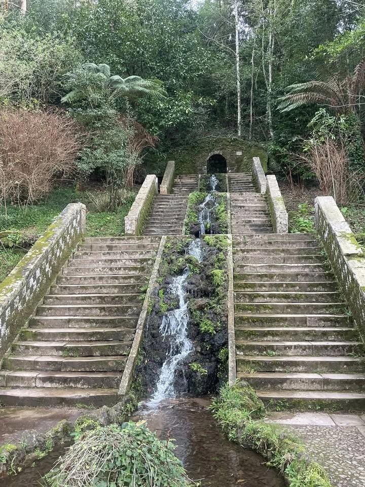 Trilho da Água - Mata do Buçaco