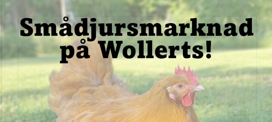 Wollerts smådjursmarknad 2026